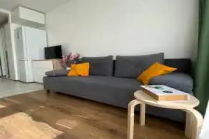 Li Apart Briz Flat, Mytishchi
