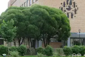 Yubileynyy Hotel, Verkhnedneprovsky