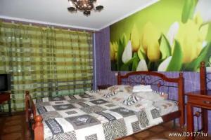 Apartamenty na Lizy Chaykinoy 16, Vyksa