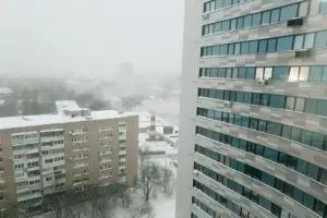 Uyutnaya Studiya Flat, Korolyov