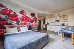 Flat Na Proyezde Sharapovskiy, Vl 2, Mytishchi