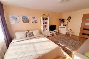 1-Komnatnaya Flat, Nizhniy Novgorod