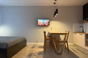 Studia na Drevlyanke Flat, Petrozavodsk