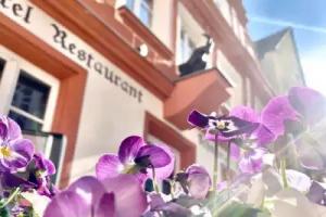 Boutique Hotel & Bio Wirtshaus Schwarzer Bock, Ansbach