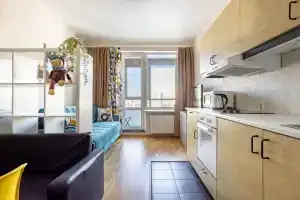 Apart S Vidom Na Nevu I Vantovyij Most