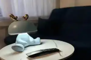 Studiya U Parka Skulptur Flat, Vyborg