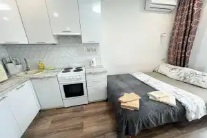 S zaseleniem 24/7 Luchshiy servis Posutochno 50 Flat, Moscow