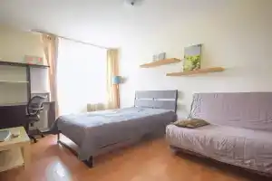 Odnokomnatnaya Ryadom s Almazova i Doktrinoy Flat, St. Petersburg