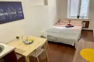 Apartamenty s divanom-krovat'yu i obshchej vannoj Na Monetnoj, St. Petersburg