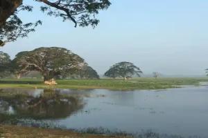 The Elephant Pass Yala, Tissamaharama