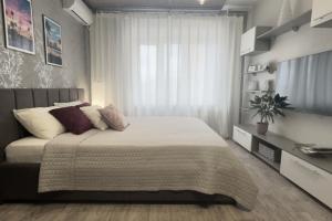 Svetlaya i Uyutnaya v Rajone TC Mega Flat