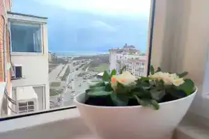 Studiya Na Pervoy Beregovoy Flat, Novorossijsk