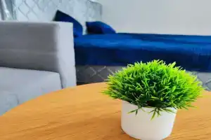 Sovremennaya Komfortnaya Studiya v Svetlykh Tonakh Flat