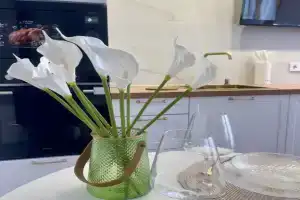 Uyutnaya Kvartira Studiya vozle Basket Kholla Flat, Krasnodar