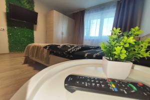 Odnushka V Zapadnom Rayone Flat, Velikiy Novgorod