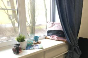 Studia Morskaya V Sosnovom Boru Flat, Sosnovyy Bor