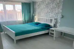 Uyutnaya Odnokomnatnaya Kudrovo Flat