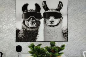 Hibiny Uyut Flat, Kirovsk