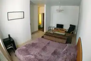 Ploschad' Slavyi Apartments