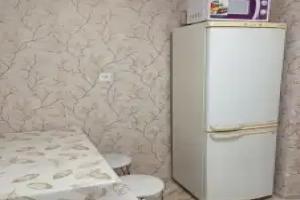 V Tsentre Goroda Flat, Orenburg