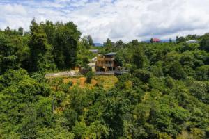 TreeHouse GoldenSeaView TreeHouse Private house, Kobuleti