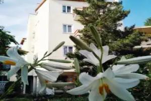 Bely Hotel, Prybrezhnoe