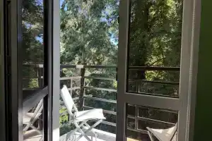 S Vidom Na Park Yuzhnykh Kultur Sirius Flat, Adler