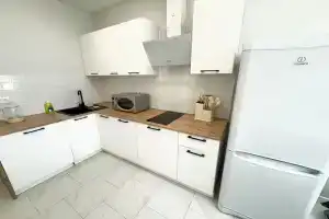 Uyutnaya kvartira vozle Sheremetyevo posutochno50 Apartments, Moscow