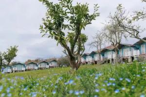 Mandarin Hotel, Gudauta