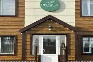 Opushka Guest House, Borovoye