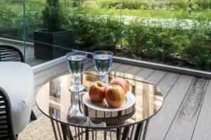 3roomz S Basseynom I Sportzalom Apartments, Sestroretsk