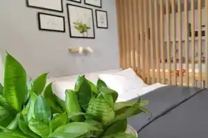 Studiya S Lodzhiey Flat