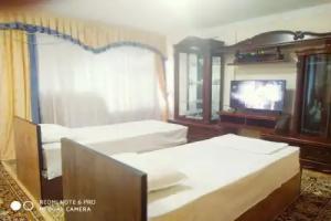 Central Tashkent Apartments, Tashkent
