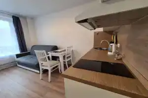 Uyutnaya Studiya V Stolichnye Polyany Flat, Moscow