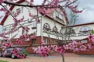 Gostevoi dom na Esenina, Volokonovka