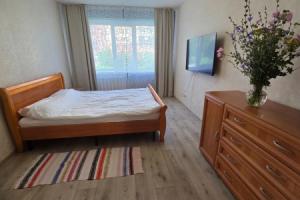 Odnokomnatnaya Flat, Pskov