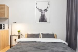 RoomyRoom City lights Apartments