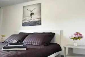 Uyutnaya Kvartira Na Rybnoy Derevne Apartments, Kaliningrad