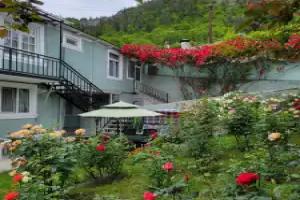 Guest house Zelyonaya Roza, Borjomi