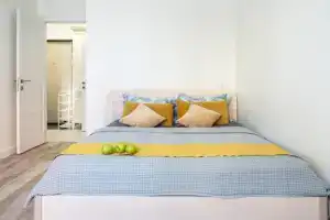 Vesna Na Izmaylovskom Flat, St. Petersburg