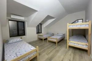 Hostel Vertum, Chisinau