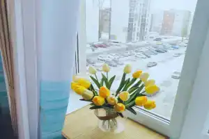 Makarenko 33v Flat, Stary Oskol