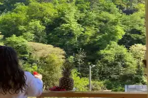 Lodzhi Korkmaz Hotel, Sukhumi