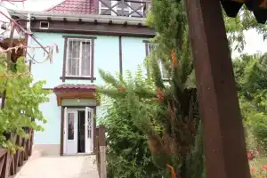 Fontan Guest House, Pitsunda