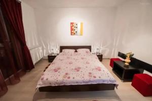 Studio Elya, Brasov