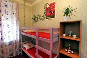 Female Hostel Welcome, St. Petersburg