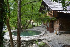 Tefiya Hotel, Alakhadzi