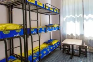 Hostel Polite Elk Savelovsky, Moscow