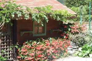 Bed and Breakfast La Casa nel Bosco, Mergozzo
