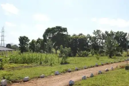 Sigiriya Farm Garden Resort - 1